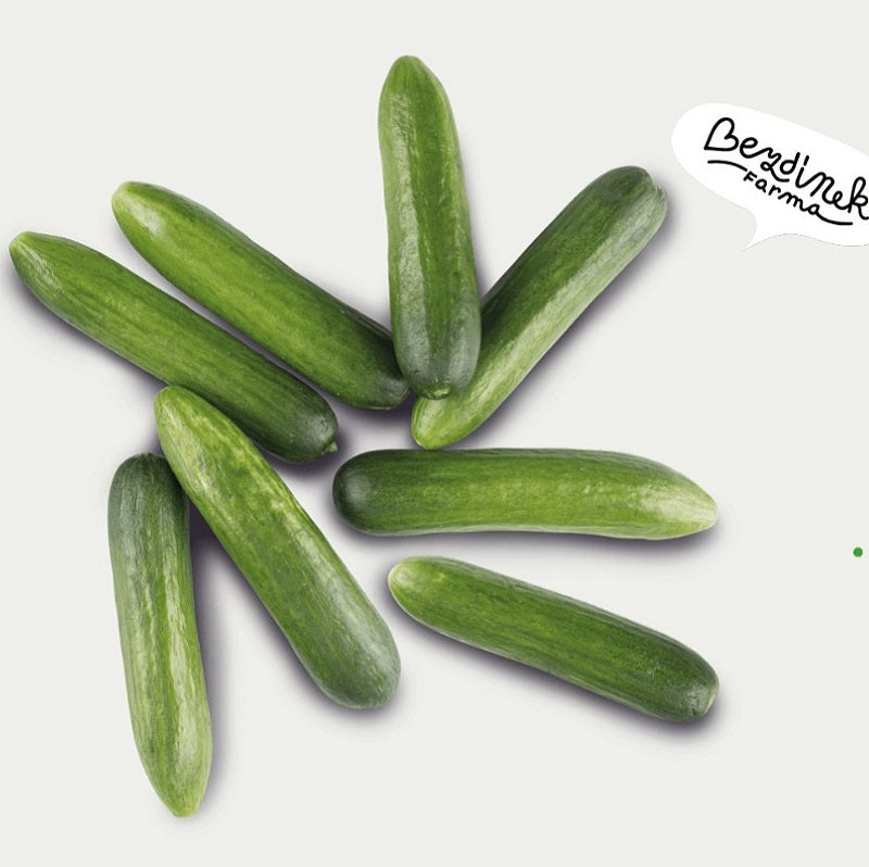 Bezdínek Okurkáček - snack okurky