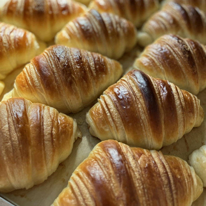 Darina Bakery Croissant