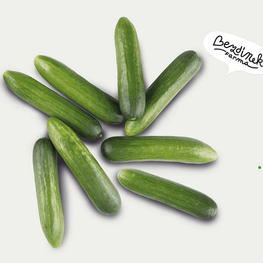 Bezdínek Okurkáček - snack okurky